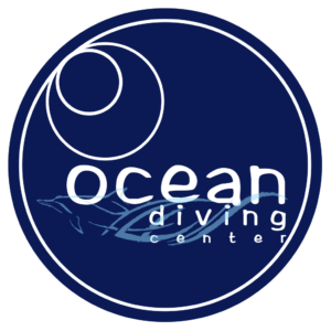 ocean diving center